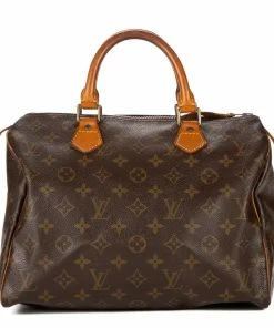 Best Pirce 👍 Louis Vuitton Speedy 30 🔔