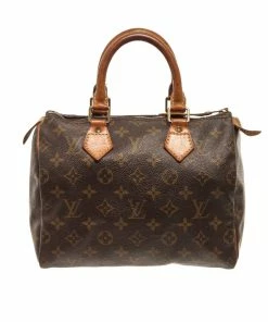 Best reviews of 🎁 Louis Vuitton Brown Monogram Speedy 25 Satchel Bag 😀