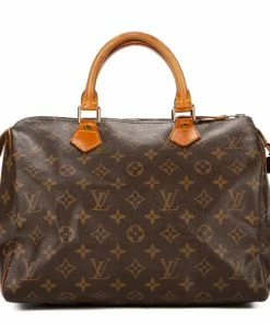 Discount ๐คฉ Louis Vuitton Speedy 30 ๐งจ
