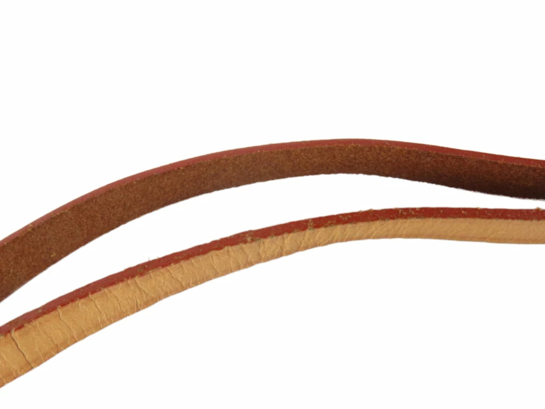 Budget ๐งจ Louis Vuitton LV Strap ๐คฉ - Image 3