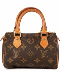 Budget 🎁 Louis Vuitton Mini Speedy 16 🔥