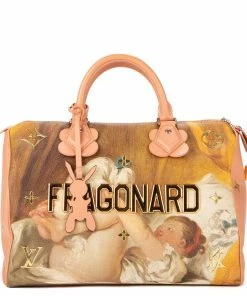 Best Pirce ๐ฅฐ Louis Vuitton Speedy Limited edt. Jeff Koons Fragonard 30 โ๏ธ