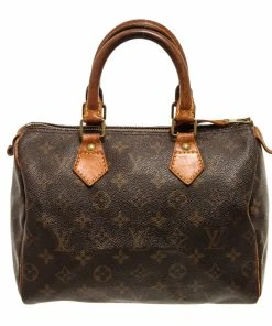 Budget 🔔 Louis Vuitton Speedy 25 👜 Handbag 🔔