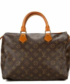 Budget ⌛ Louis Vuitton Speedy 30 🤩